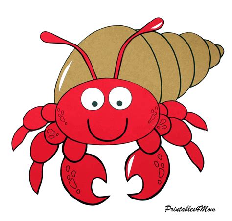 hermit crab pics|printable pictures of hermit crabs.